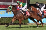 Kris Lees has two pronged Queensland Oaks attack