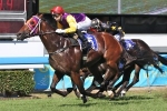 Doyle sticks with senior jockey for Le Val at Doomben