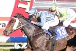 Moody’s Second Chance to Break Doomben Cup Hoodoo