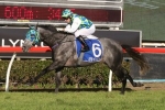 Coolring Increases Baker’s Budget With Prime Minister’s Cup Win Coolring Increases Baker’s Budget With Prime Minister’s Cup Win