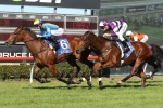 Imposing Lass To Queensland Oaks After Gold Coast Bracelet Victory Imposing Lass To Queensland Oaks After Gold Coast Bracelet Victory