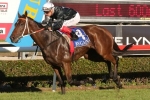 Leebaz Goes Back To Back In Hollindale Stakes