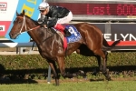 Leebaz Goes Back To Back In Hollindale Stakes Leebaz Goes Back To Back In Hollindale Stakes