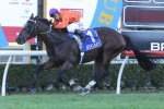 Takedown On Stradbroke Handicap Path Following Gold Coast Guineas Victory