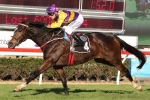 Pondarosa Miss Set For Melbourne Cup