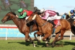 Good barrier to boost Shoreham’s chances in Grafton Cup