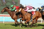 Escado Returns to Winning Form in Tattersall’s Cup Escado Returns to Winning Form in Tattersall’s Cup