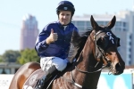 Hawkes Confident Stan Fox Stakes Is A Race In Two