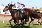 No Tricks Salutes in Daybreak Lover Stakes No Tricks Salutes in Daybreak Lover Stakes