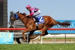 Wide Draw For Volkhere In Caloundra Cup Wide Draw For Volkhere In Caloundra Cup