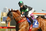Avdulla new rider for Sir Moments in Hollindale Stakes