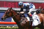 Gollan looking for top 3 finish for Zelady’s Night Out in Reisling Stakes Gollan looking for top 3 finish for Zelady’s Night Out in Reisling Stakes