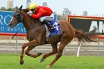 Aussie’s Love Sport to run for Sargent at Rosehill