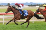 Snowden Wins Fifth Darley Crown Snowden Wins Fifth Darley Crown