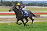 Chautauqua Gives McDonald Feature Double With Hawkesbury Guineas Win Chautauqua Gives McDonald Feature Double With Hawkesbury Guineas Win