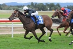 Doncaster Mile Prelude Win Key For Leebaz