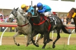 Waller pair draw 1 – 2 in Grafton Cup