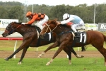 Healthy nominations for Queensland Cup two miler
