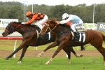 Pop ‘N’ Scotch Can Win Queensland Cup