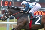 Wide barrier no disadvantage for Real Surreal in Tattersall’s Club Tiara