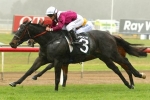 Rock Royalty big market mover for Ramornie Handicap Rock Royalty big market mover for Ramornie Handicap
