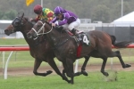 Byrne Confident Alma’s Fury Can Win Glasshouse Handicap Byrne Confident Alma’s Fury Can Win Glasshouse Handicap