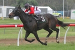 Brave Ali To Maintain Impressive Form In Caloundra Cup Brave Ali To Maintain Impressive Form In Caloundra Cup