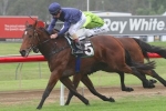 Jazz Song A Chance For Tatt’s Tiara After Gai Waterhouse Classic Win Jazz Song A Chance For Tatt’s Tiara After Gai Waterhouse Classic Win