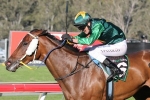 Anagold After Ipswich – Caloundra Cup Double Anagold After Ipswich – Caloundra Cup Double