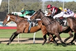 Kiwi Mare On Track for Caloundra Cup