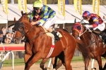 Conservatorium Headlines Scahill Stakes Final Field Conservatorium Headlines Scahill Stakes Final Field