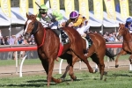 Fillies Trend Suits Peron in Tatt’s Tiara Fillies Trend Suits Peron in Tatt’s Tiara