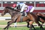 Shenzhou Steeds Draws Eight for Caloundra Cup Defence Shenzhou Steeds Draws Eight for Caloundra Cup Defence
