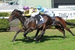 Singapore plans for Blademeister after Kensington track win Singapore plans for Blademeister after Kensington track win