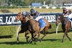 Oriental Lady Chasing Maiden Black Type Win In Australia Day Cup Oriental Lady Chasing Maiden Black Type Win In Australia Day Cup
