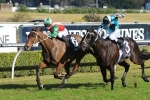 Rails draw to help Reigning get the distance in Grafton Cup Rails draw to help Reigning get the distance in Grafton Cup