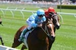 Conners keen to secure a Golden Slipper start with Aegean Sea Conners keen to secure a Golden Slipper start with Aegean Sea