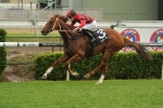 Senta De Noche To Lead In Starlight Stakes Senta De Noche To Lead In Starlight Stakes