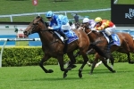 Unencumbered To Have Final Gallop Before Magic Millions Classic