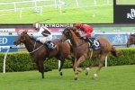 Aeronautical To Be Ridden More Forward In The Black Caviar Lightning Stakes