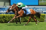 Sun Flash set to give Hawkes back to back wins in Inglis Nursery