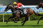 Ninth Legion gives Browne back to back wins in Eye Liner Stakes Ninth Legion gives Browne back to back wins in Eye Liner Stakes