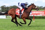 Perth fillies need luck in South Australian Derby Perth fillies need luck in South Australian Derby