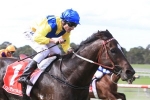 Hazzabeel included in Festival Stakes nominations Hazzabeel included in Festival Stakes nominations