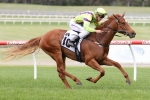 Artic Angel Makes All In Merson Cooper Stakes