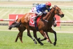 Husson Eagle On Track For Magic Millions Sprint Defence After Doveton Stakes Win