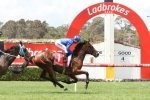 Appleby hoping to emulate Spring Success in the Autumn Appleby hoping to emulate Spring Success in the Autumn