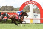 Qewy Wins Again In Sandown Cup