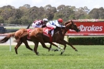 Australian Cup A Target For Sandown Stakes Winner Redkirk Warrior Australian Cup A Target For Sandown Stakes Winner Redkirk Warrior