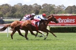 Australian Cup A Target For Sandown Stakes Winner Redkirk Warrior